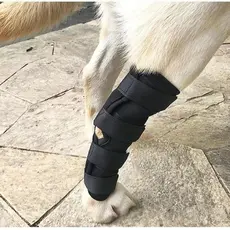 Joelheiras Para Cães Post Op Rehab Mangas Pernas De Animais De Estimação Ao Ar Livre Gatos , Sapatos Pato kasut kucing S