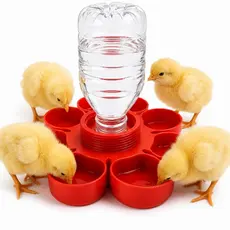 Bebedouro Automático para Pintinhos de Galinha e Codorna Anti Afogamento Universal para Garrafa Pet