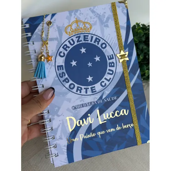 Caderneta de Vacinação / Caderneta de Saúde / Caderneta personalizada/ Cruzeiro/ Borboletas/ Personalizada