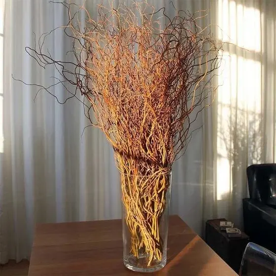 Galhos Secos para montagem de árvores, decoração -  GALHO SECO