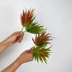 Suculenta - Planta Avulso Artificial Suculentas Decoração Arranjos Decorar Festas Jardim - LMM802770