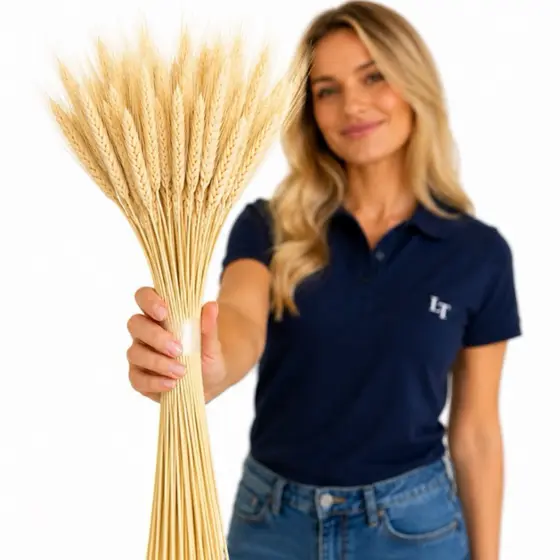 40 a 200 Galhos de Trigo Seco Decorativo para Guirlandas Buquês Arranjos Decoração