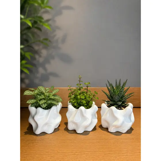 Kit 3 Vasos Decorativos Modernos para Suculentas e Plantas | Decoração Minimalista Premium