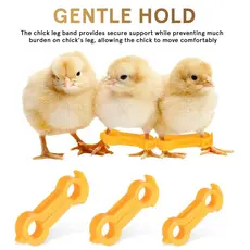 Chick Perna Estabilizador Bebê Pássaros Splay Pernas Correção Banda Recém-Nascido Frango Hobbble Cinta Suporte Pássaro