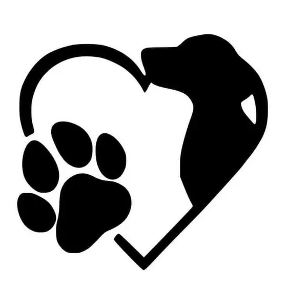ADESIVO PATAS PETS 10 CENTÍMETROS