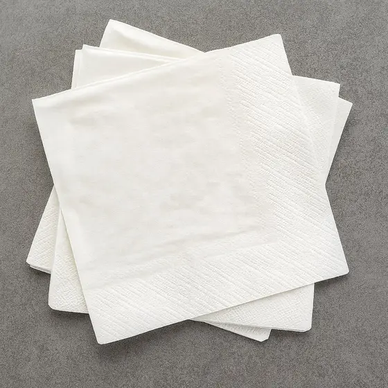 Guardanapo De Papel 24x22 Folha Dupla Gourmet 250 Un