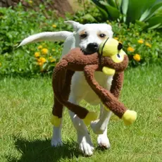 Macaco Mordedor Pelúcia Adestra Brinquedo Pet Osso Bolinha Urso Coleira Dente Cachorro Gato