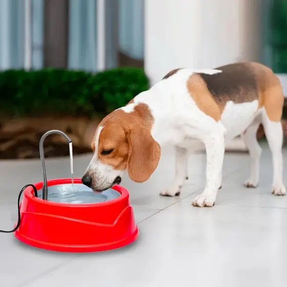 Fonte Bebedouro Tigela Recipiente Filtro Água Gatos Cães Automático Rachão Pote Vasilha Passeio Pet