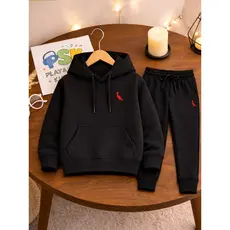 kit infantil moletom + calça passaro vermelho blusa de frio confortavel barato escola premium