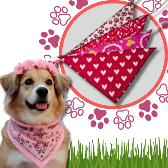Kit Bandana Pet, Fêmea, Cachorro, Cães, Banho e Tosa, Pet Shop, Tamanho G, 15 Unidades.
