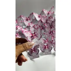 Lembrancinha Borboleta  TODOS OS TEMAS  | TAG COM o brinco| KIT 50 e 100 unidades | Mimo para clientes - OUTUBRO ROSA