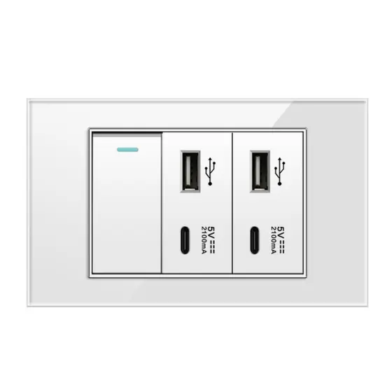 Interruptor Com Entrada Dupla Usb E Tipo C Painel Vidro 4x2
