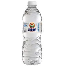 12 Água Mineral Sem Gás Lindoya Verão Sense Garrafa 510ml