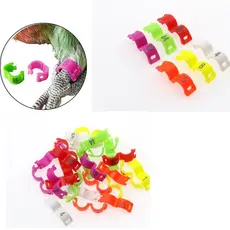 Pacote de anilhas click , PREMIUm  4.0  para periquitos, rolinha diamante. ADULTOS E FILHOTES. Envio imediato.