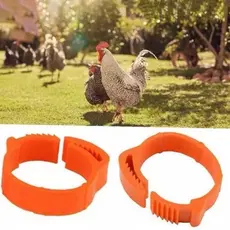 20 Anilhas lisas , REGULÁVEIS  para galinhas/ frangos, patos , marrecos, faizao, galos , etc.