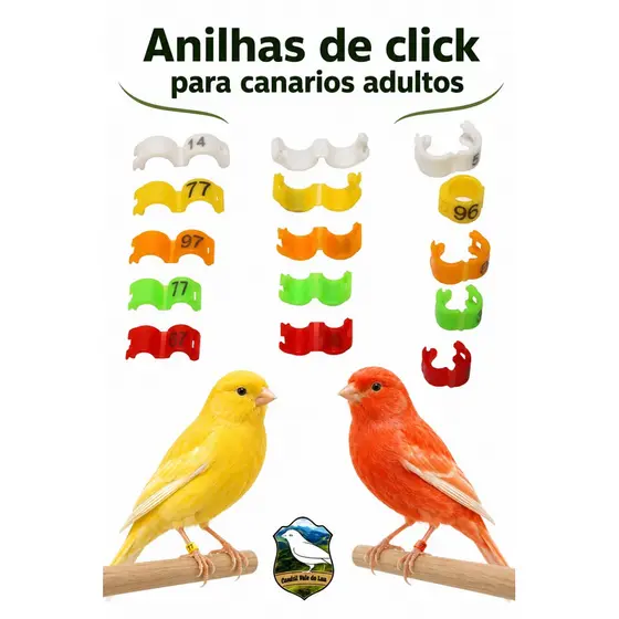 kit anilhas de click ( clique) 3.0 mm para aves adultas . canarios em geral.