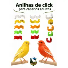 kit anilhas de click ( clique) 3.0 mm para aves adultas . canarios em geral.