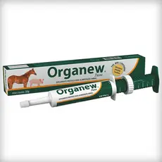 Organew Forte Probiótico + Prebiótico Vetnil Pasta Suplemento Vitamínico - 32 g