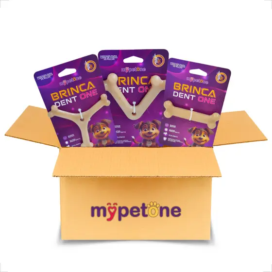Kit 3 Unidades Brinca Dent One Filhotes Osso Bamboo - MyPetOne