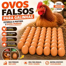 Kit Ovos Falsos Para Galinha Indez Plástico Anti Quebra Ninho Falso
