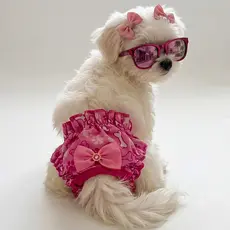 Calcinha 1unid. Roupa Cachorro Pós Cirúrgica Castração Cio