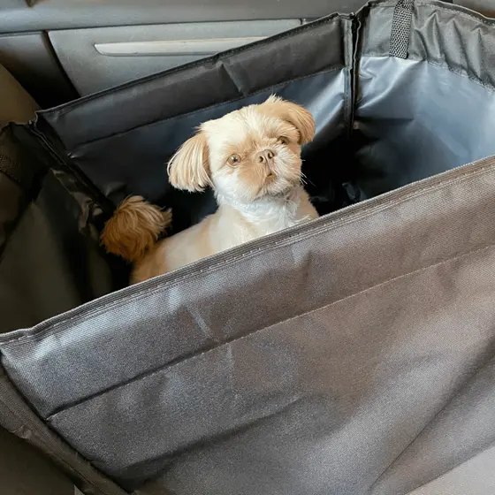 Capa Protetora Banco Individual Carro Para Pet Impermeável Cachorro Cão Gato Animais e Cinto de Segurança