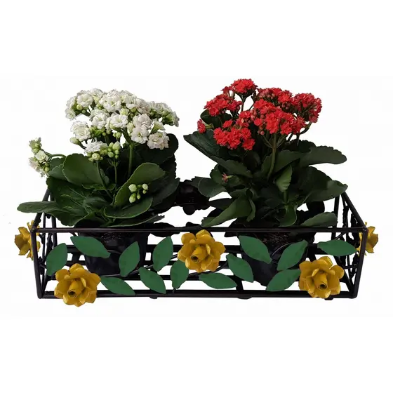 Suporte de Flores Artesanal Colorido para Jardim Vertical Suspenso