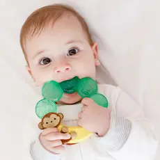 Mordedor de Água Infantil Animais Alívio Gengiva Desconforto Buba