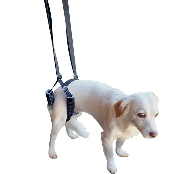 Suporte Quadril Suspensor Traseiro Cachorro Deficientes Órtese Regulável Fisioterapia