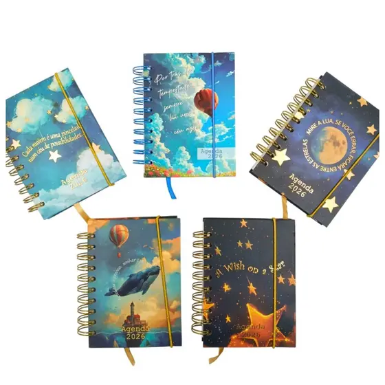 Agenda 2026 Pequena Espiral Céu 11X15cm FWB 320 Páginas