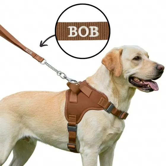 Coleira Pet Personalizada com Nome Peitoral para  Cachorros Grandes Regulável +Guia