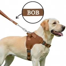 Coleira Pet Personalizada com Nome Peitoral para  Cachorros Grandes Regulável +Guia