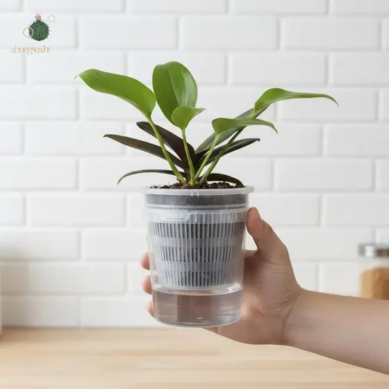 abongsea Vasos De Rega Automática De Camada Dupla Com Furos De Drenagem Para Mudas E Ervas , Mesa De Berçário , Varanda