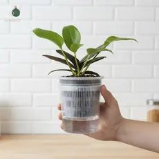 abongsea Vasos De Rega Automática De Camada Dupla Com Furos De Drenagem Para Mudas E Ervas , Mesa De Berçário , Varanda