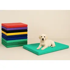 Caminha Colchonete Impermeável P Cães Uso Dentro e Fora de Casa 70x50cm - Espuma 2cm Capa Removivel