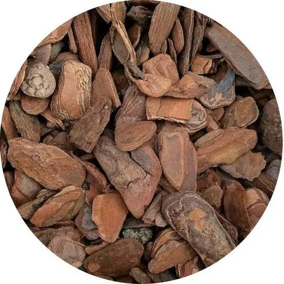 Casca De Pinus Polida 40L Para Decoração Vasos E Plantas 7kg