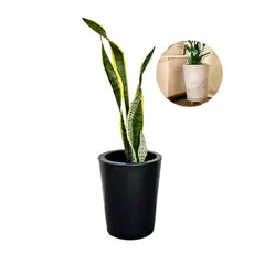 Vaso para Plantas Decorativo Redondo De Polietileno 43x36 Flores