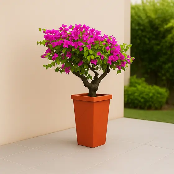 Lindo Vaso Quadrado Coluna Médio 19 Litros Decoração Sala Varanda Polipropileno Frete Gratis