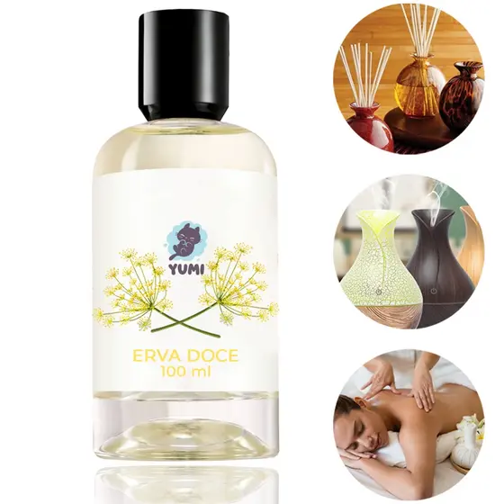 Essência Concentrada 100ml Erva Doce Aromatizador Umidificador Elétrico Hidrossolúvel Forte