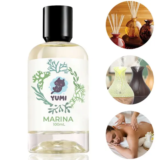 Essência Concentrada 100ml Marina Para Aromatizador Difusor Umidificador Elétrico Hidrossolúvel A Melhor