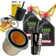 Kit Revisão Xre 300 2016-2022 Troca Óleo Motul 5100 10w30 Filtros e Vela Iridium