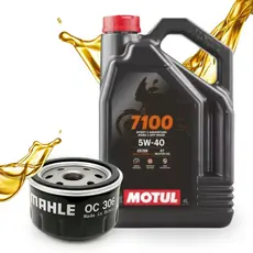 Troca de Óleo para Bmw R1200 Gs / R 1200 Motul 7100 5w40 4 Litros + Filtro