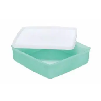 Refri Box Quadrado (Arara) 400 ml Base Mint Tampa Branca Tupperware®