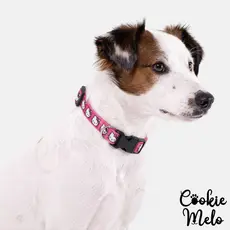 Coleira Hello Kitty Pet Antienforcamento Tamanho Ajustável Para Gatos e Cachorros