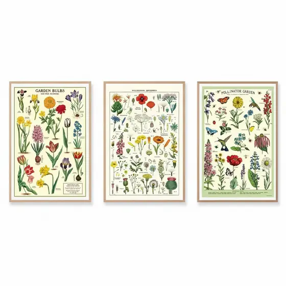 Quadros decorativos Arte kawaii, flor da árvore, cacto, esboço nórdico (3 peças)