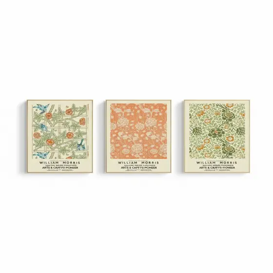 Quadros decorativos Flores diferentes cores (3 peças)