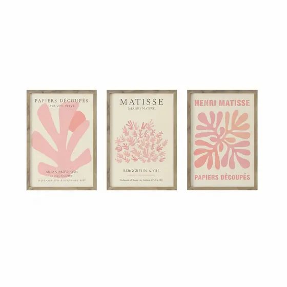Quadros decorativos Matisse Exposição, Flor Retro abstrato, Coral (3 peças)