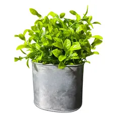 Vaso Decorativo com Planta Artificial Chouette em Ferro e Plástico PVC/PE