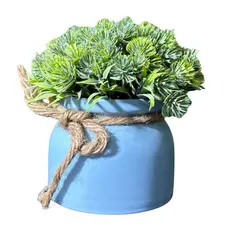 Planta Artificial Decorativa com Vasinho Redondo Azul