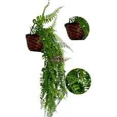 Conjunto Decorativo: Cesto Trançado + Samambaia Pendente